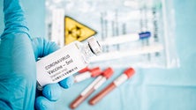 Imagem de Venezuela vai produzir vacina cubana