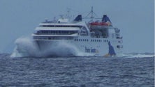 Imagem de Lobo Marinho regressa do Porto Santo pelas 12 horas