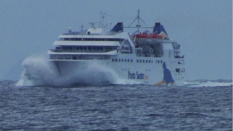 Imagem de Lobo Marinho regressa do Porto Santo pelas 12 horas