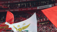 Imagem de Inês Simas reforça equipa de Sub-19 do Benfica (Vídeo)