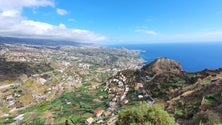 Imagem de Insolvências aumentaram 36,7% na Madeira
