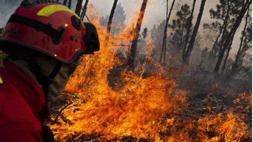 Imagem de Mais de 400 bombeiros e 14 meios aéreos combatem fogo no distrito de Coimbra