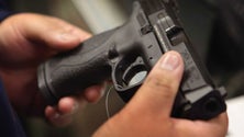 Imagem de Governo estuda restrição à posse de armas de fogo