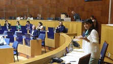 Imagem de Governo Regional diz que pasto ordenado nas serras da Madeira é permitido