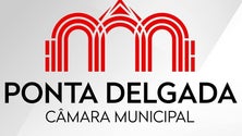 Imagem de Câmara de Ponta Delgada constrói abrigos para gatos (Vídeo)