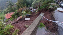 Imagem de Chuva provoca danos na Camacha