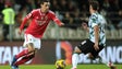 Imagem de Crise do Benfica é mais do que evidente