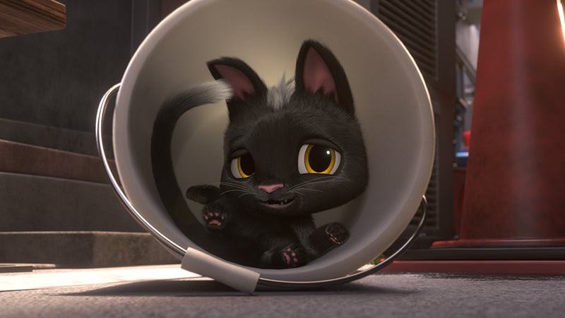 Imagem de Rudolfo, O Gatinho Preto