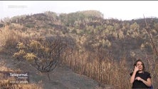 Imagem de Doze dias após os incêndios ainda há moradores sem água (vídeo)