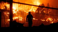 Imagem de Incêndios e seca são as principais preocupações ambientais dos portugueses