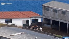 Imagem de Grupo de moradores do Caniço entrega abaixo-assinado contra vacaria (áudio)