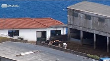 Grupo de moradores do Caniço entrega abaixo-assinado contra vacaria (áudio)