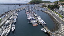 Imagem de Regata Les Sables-Horta sai do Faial esta sexta-feira (Vídeo)