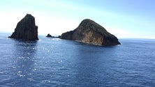 Imagem de Descobertas novas espécies no Mar dos Açores (Som)