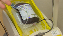 Imagem de Madeira facultou sangue ao Instituto Português do Sangue (vídeo)