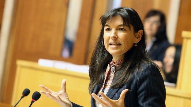 Imagem de Parlamento da Madeira aprova carreiras de vigilantes da natureza