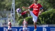 Benfica está na final da Youth League pela terceira vez