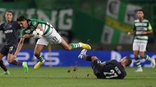 Imagem de Sporting volta a perder com Marselha e complica apuramento para «oitavos»