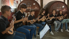 Imagem de Promoção dos cordofones madeirenses (vídeo)