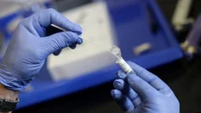 Imagem de Covid-19: Média diária de casos atinge o valor mais baixo do ano em Portugal