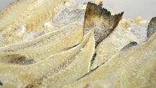 Imagem de Cinco mil toneladas de bacalhau