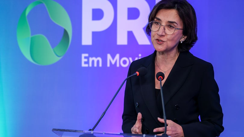 Imagem de Ministra vai assegurar matéria da Secretaria de Estado da Agricultura