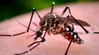 Imagem de Madeira não está livre de um surto de Zika (áudio)