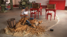 Imagem de Açores: turismo deve assentar na sustentabilidade (Vídeo)