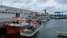 Imagem de Governo determina restrições ao setor da pesca (Vídeo)
