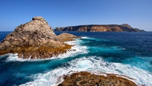 Imagem de Novo regime jurídico da Reserva Natural das Ilhas Selvagens aprovado