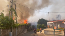 Escola da Fajã da Ovelha evacuada (vídeo)