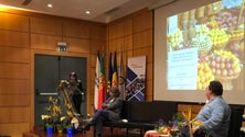 Imagem de Organização Mundial do Turismo quer destinos a manterem autenticidade