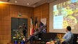 Imagem de Organização Mundial do Turismo quer destinos a manterem autenticidade