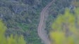 Imagem de «Ninguém quer destruir a floresta Laurissilva» (áudio)