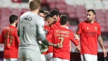 Imagem de Benfica regressa aos êxitos