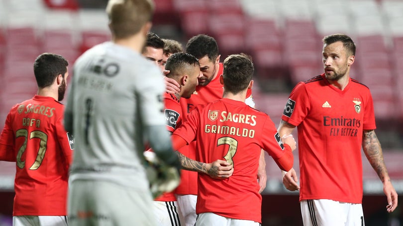 Imagem de Benfica regressa aos êxitos