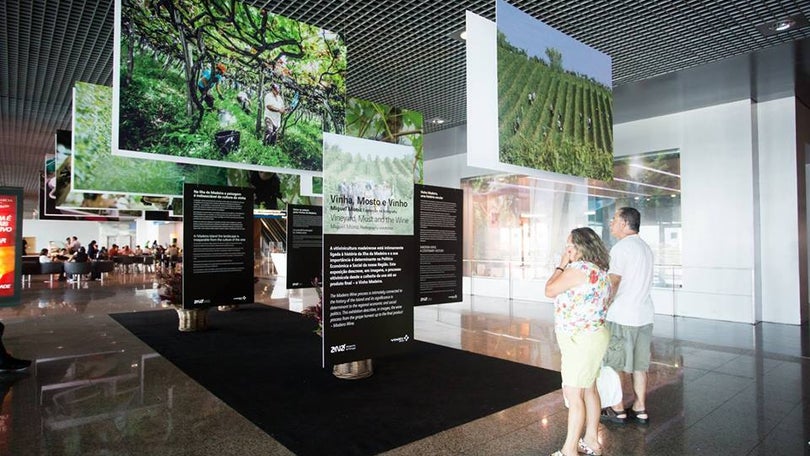 Imagem de “Vinha, Mosto e Vinho” em exposição no Aeroporto da Madeira