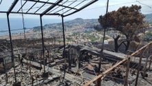 Imagem de Incêndios destruíram o Jardim Orquídea Pregetter (Áudio)