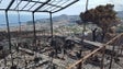 Imagem de Incêndios destruíram o Jardim Orquídea Pregetter (Áudio)
