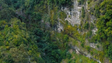 Imagem de Está a decorrer o Festival da Natureza (áudio)