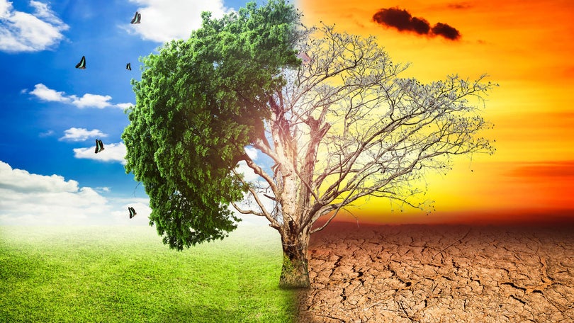 Imagem de Tribunal Europeu aceita processo de famílias contra UE por alterações climáticas