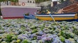 Imagem de Festa da Flor homenageia bomboteiros