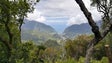 Madeira quer mais apoios europeus para gerir a floresta (vídeo)