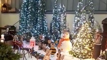 Imagem de Natal chegou ao Mercado dos Prazeres (vídeo)