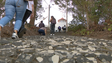 Fiéis sobem ao santuário de Nossa Senhora de Fátima no Cabo Girão (vídeo)