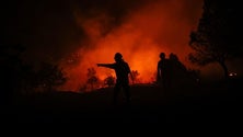 Imagem de Portugal continental em situação de alerta devido a incêndios