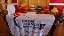 Imagem de Liga Portuguesa Contra o Cancro lança campanha para angariar fundos e desdramatizar a doença