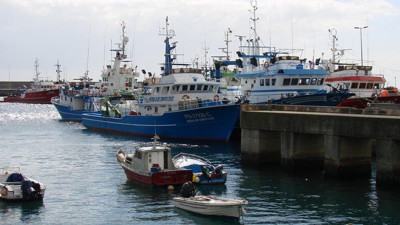 Imagem de Secretário do Mar diz ser «urgente» renovar frota pesqueira do peixe-espada preto