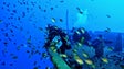 Caniço acolhe novo recife artificial para desenvolvimento do mergulho
