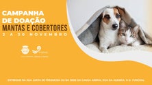 Funchal lança campanha de doação de cobertores para animais do canil (áudio)